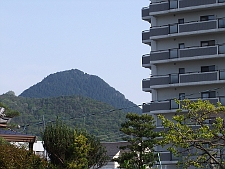 写真拡大