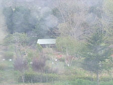 写真拡大