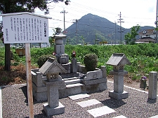 写真拡大