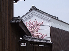 写真拡大