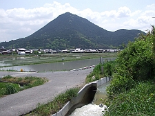写真拡大
