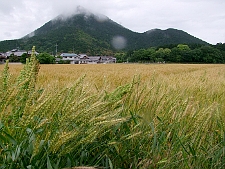 写真拡大
