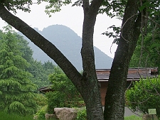 写真拡大