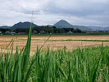 写真拡大