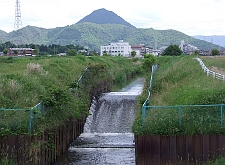 写真拡大