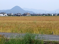 写真拡大