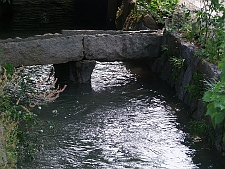 写真拡大