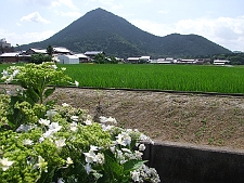 写真拡大