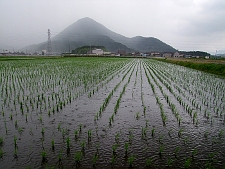 写真拡大