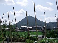 写真拡大