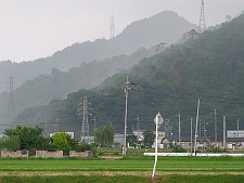 写真拡大