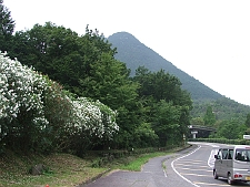 写真拡大