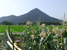 写真拡大