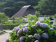 写真拡大