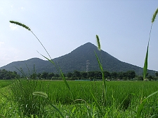 写真拡大