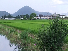 写真拡大