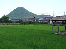 写真拡大