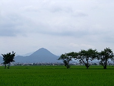 写真拡大