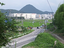 写真拡大
