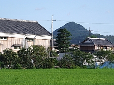写真拡大