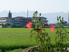 写真拡大