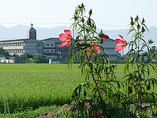 写真拡大