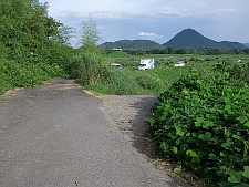 写真拡大