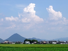 写真拡大