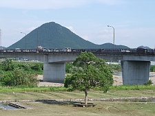 写真拡大