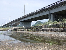 写真拡大