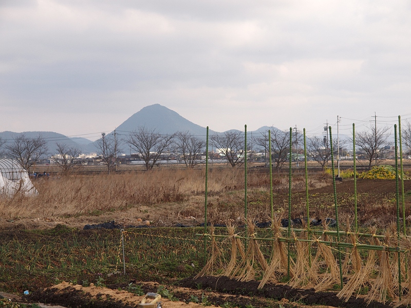 写真拡大