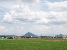 写真拡大