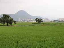 写真拡大