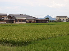 写真拡大
