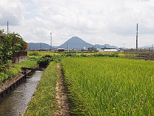 写真拡大
