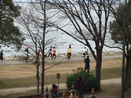 ２月２６日（日）　びわ湖レイクサイドマラソン