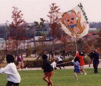 学芸員の仕事