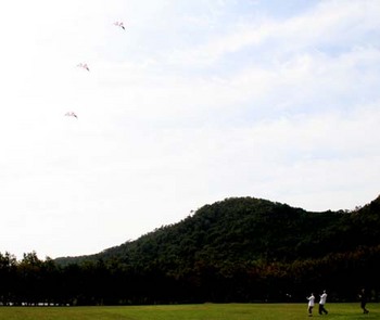 琵琶湖スポーツカイトフェスティバル２００７