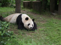 王子動物園へ行ってきた！
