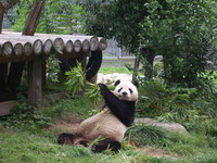 王子動物園へ行ってきた！
