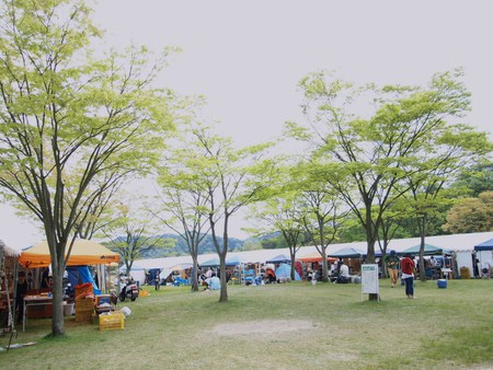 信楽 作家市へ