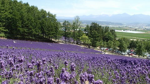 第二回北海道遠征報告