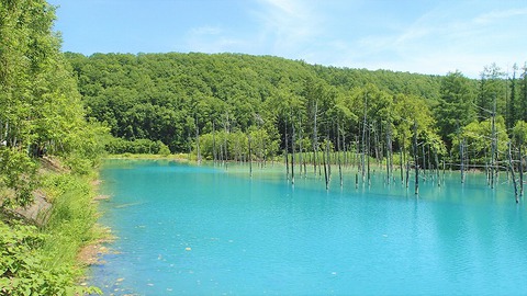 第二回北海道遠征報告