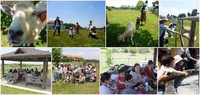 5月23日　畜産センター
