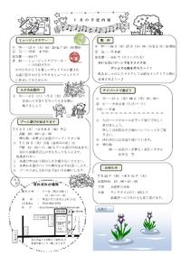 ７月の予定