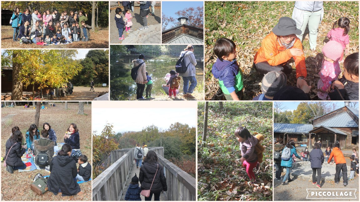 ぽれぽれ広場 １１月１７日 河辺いきものの森