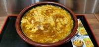 JR京都駅のカレーうどん