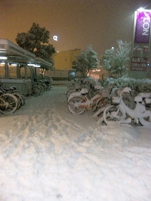 大津は予想以上の積雪！！