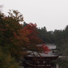 明日香村へ　①