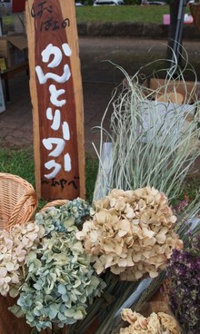 アート＆Artな週末